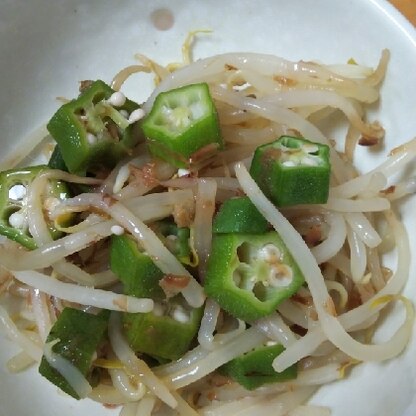 さっぱり風味で夏にぴったり♪
冷やし中華の上にのせて食べても美味しかったです( •ᴗ• )